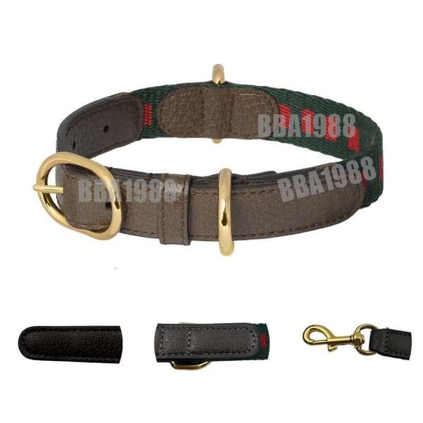 Leather Webbing Puppy Collar Designer Dog Collar and Leash Soft Stylish Gold Heavy Duty Metal Buckle for Small Dogs Cats Fashionable Dog Birthday Gift Red/Green