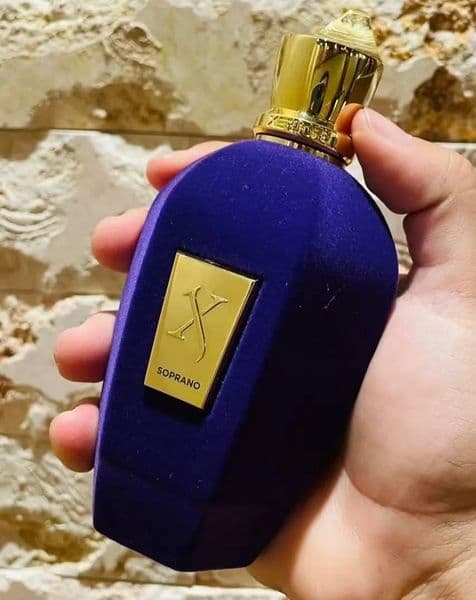 Perfume Designer Top Xerjof 100Ml Erba Pura ERBA GOLD Fragrance Eau De Parfum Long Lasting Good Smell High Quality Cologne Spray Wholesa