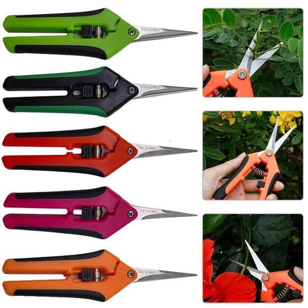 Garden Stainless Steel Flower Scissors Gardening Shears Fruit Grape Thinning Pruning Shears Straight Elbow Gardening Scissors XJ250731