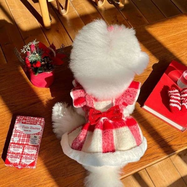 New Autumn Winter Dog Christmas Sweet Heart Plaid Cotton Dress Cat Pet Clothes