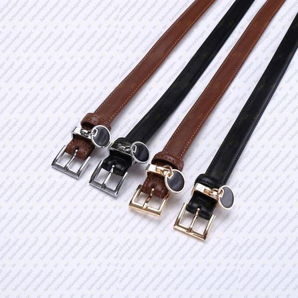 Belt belts for women designer ceinture Width 20MM skirt belt for dress Genuine leather casual fashion designer belt women needle buckle Ceintures pour femmes