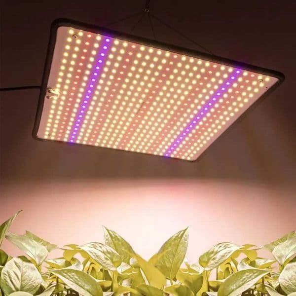 Growth tent flowering quantum board LED Samsung growth lamp full spectrum lamp for indoor plant growth lamp 1200W Z250407