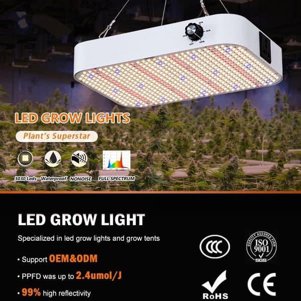 Full Spectrum dimming LED Grow Light Waterproof for Greenhouse Indoor Plants Phyto Lamp for Seedlings Vegetables Flowers Growth