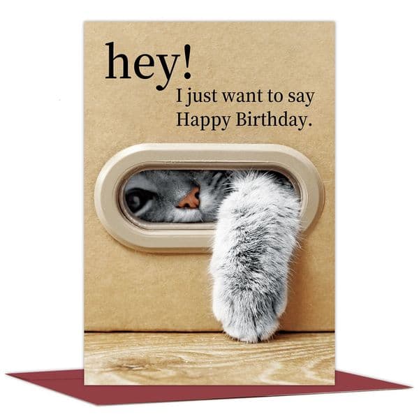 1 cute cat birthday card cute cat paw happy birthday card with envelope the gift for cat lovers family and friends 250403