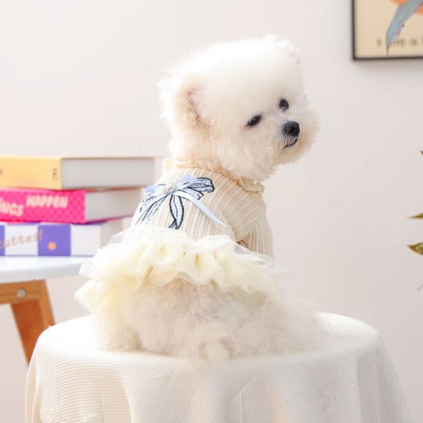 dog Luxury Pet Clothes Autumn Winter Small Puppy Happy cat Dog Cat Warm And Comfortable Clothing Dog Blue Bow Gauze Skirt Designer Cat Free Shipping Shipping