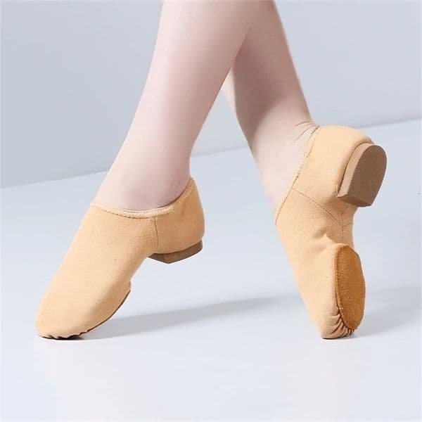Jazz Shoes Womens Dance Shoes Modern National Indoor Exam Special Training Teacher Adult Classical Soft Soled Shoes 251023ww12