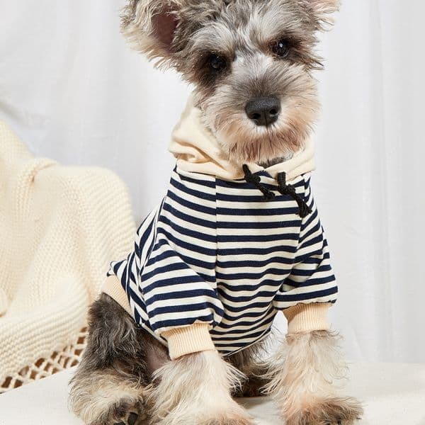 Black Striped Pet Hoodie with Beige Hood, Soft Cotton Warm Sweatshirt for Small Dogs, Fashionable Fall/Winter Outfit for Schnauzer, Poodle, Bichon Frise & Kittens A794