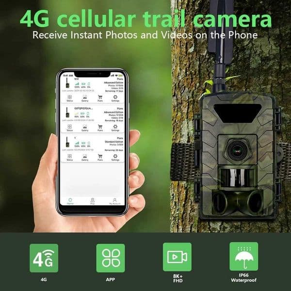 PR803LTE Infrared 4G LTE 8K 60MP Hunting Trail Camera Outdoor 2-inch Lens Voice Video Animal Observation Sim Card Photo X250411