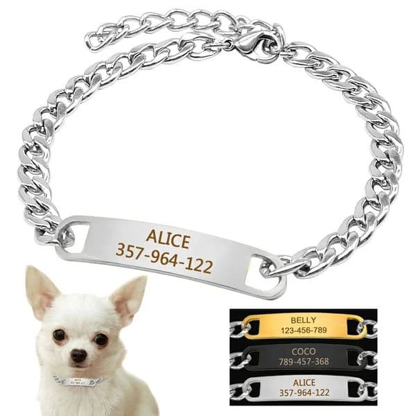 Dog Training Collar with ID Dog Tag Snake P Slip Chians Choke Collar Metal Chain For Small Medium Pets 22-30cm Black Gold Silver 251106BJ
