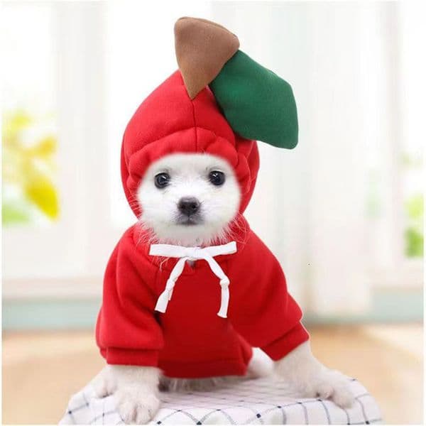 Cute Dog Hoodie Pet Fruit Clothes Funny Cat Coats with Hat Halloween Cosplay Costume Dogs Hooded Sweatshirt for Puppies 251104