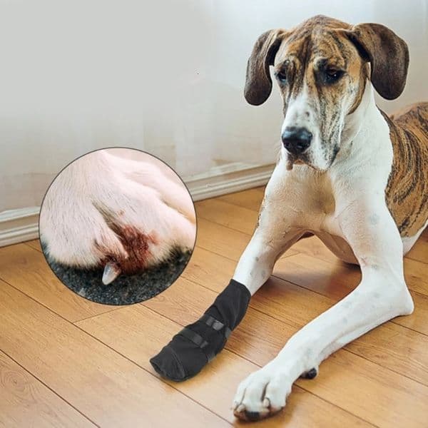 Dog Wound Recovery Boot Paws Protector Waterproof Shoe for Post Healing Protections w251104