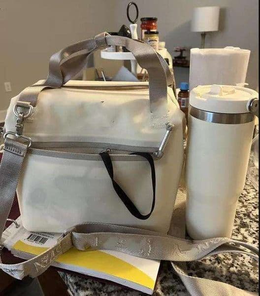 All Day Julienne Mini Soft Lunch Bag Box 10-Can Recycled Polyester 12-Hour Coog Travel Cooler Bgas 0415