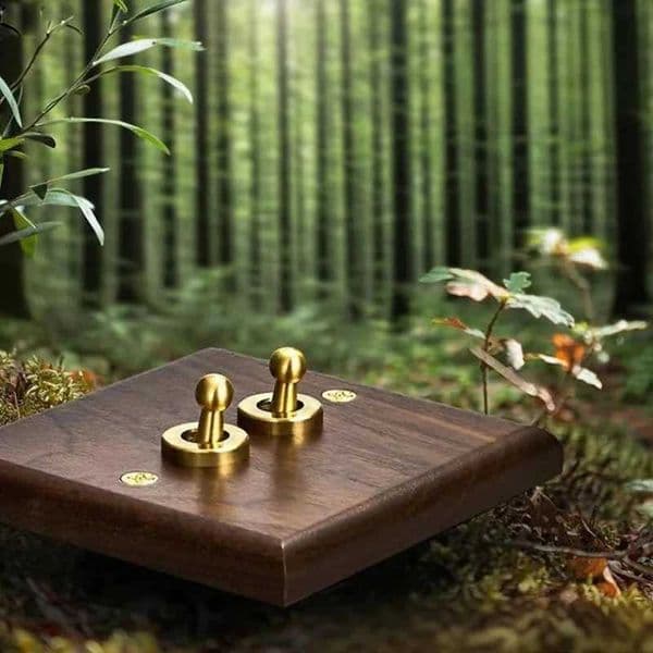 High Quality Retro Europe Type Vintage Wall Light Switch SocketAntique Home Stay SwitchSolid Wood Brass Toggle Switch PlateW251117