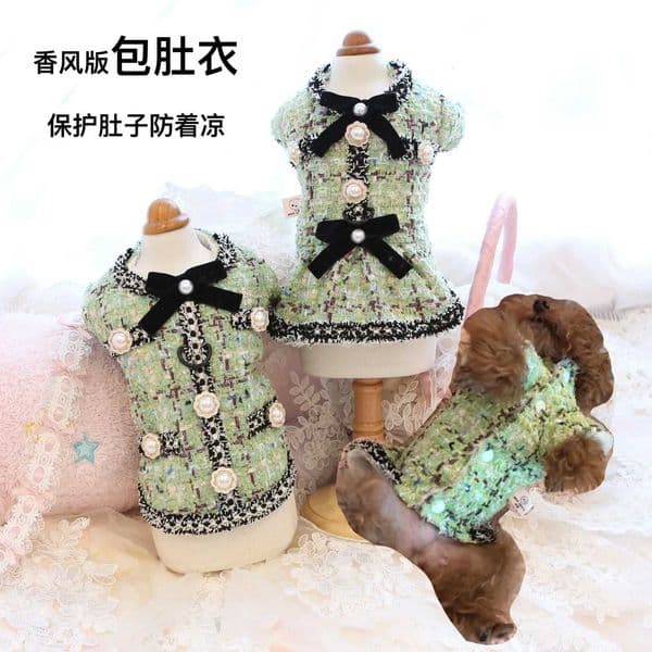 Autumn and Winter Woolen Dress Dog Princess Teddy Couple Dress Small Dog Pet Coat Dog Clothes for Small Dogs Puppy Clothes C251118