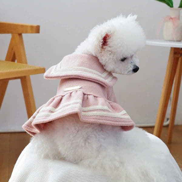 Pet Dress Dog Cat Fur Coat Autumn and Winter Warm Princess Dress Cute Thick Dress Dog Dresses for Small Dogs Puppy C251118