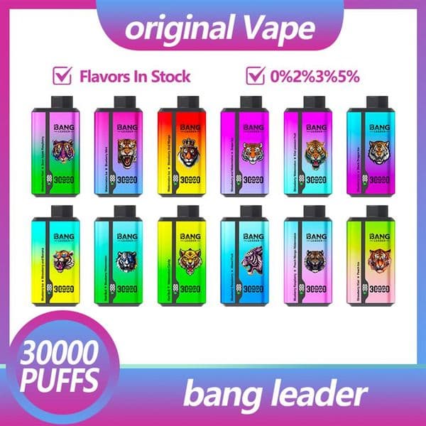 Bang leader king 30k Puffs dual-taste E Cigarette Disposable Vape vape puff 30000 buy Electronic Cigarette 30000 puff Vape Pen226b