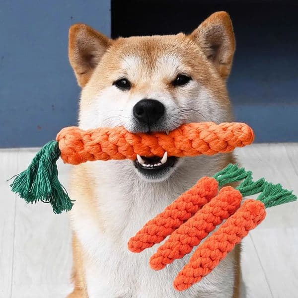 1Pcs Carrot Dog Bite Rope Pet Dog Toys Safe Durable Braided Bite Dog Chew Toys Resistant Puppy Molar Cleaning Teeth Cotton Rope 250414
