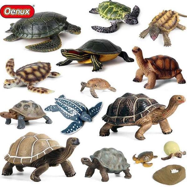 Oenux Ocean Animals Leatherback Tortoise Turtle Growth Cycle Sea Life Model Figurines Action Figures PVC Education Kid Toy Gift X251121
