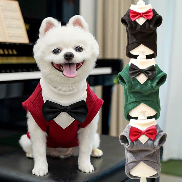 Autumn Winter New Apparel Suit Pet Dress Cat Clothes Dog Supplies Cross-Border Wholesale Teddy French Bulldog
