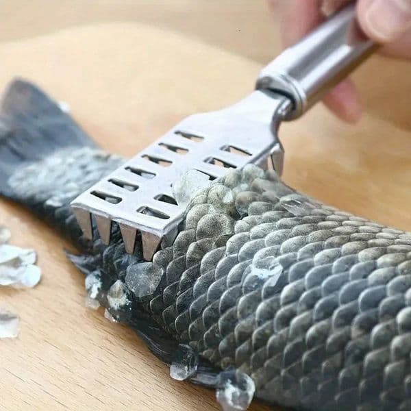 Fish Stainless Steel Premium Scale Remover Integrated Casting Duty Sawtooth De Tool Fishes y251126BANJIA