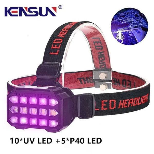 UVWhite Light Dual-use LED Headlamp Fishing Headlight Uses 10UV LED 5P40 LED Used for Camping Catching ScorpionsetcW251128