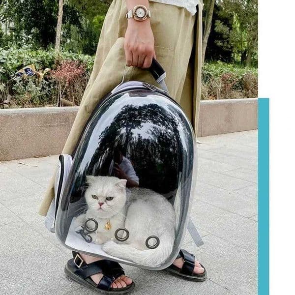 Pet Cat Carrying Bag Space Pet Backpacks Breathable Portable Transparent Backpack Puppy Dog Transport Carrier Space Capsule BagsM251129