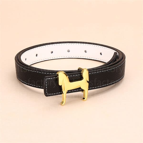 Belt for women designer Buckle Simple Hundred With Dress Suit Pants Coat Accessories Women Slim gurtel leather Classic Gold Buckle Cowhide fashion casual with box h