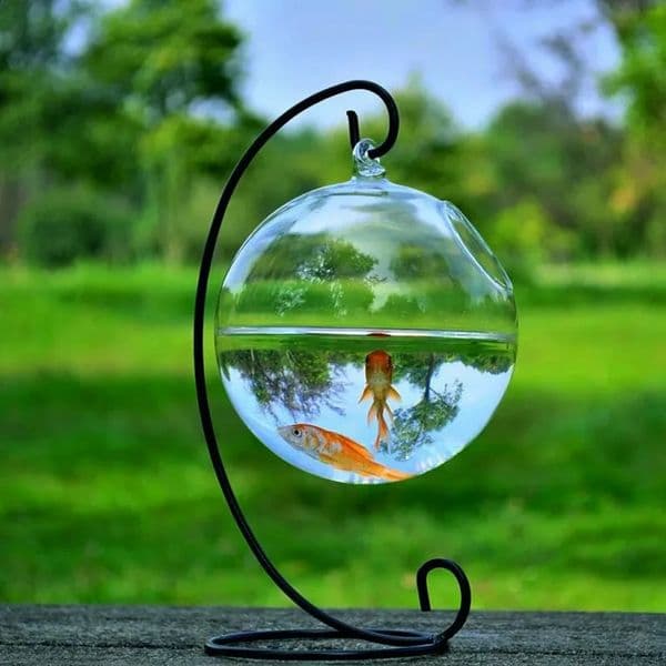 1Set Round Shape Hanging Glass Aquarium Fish Bowl Tank Flower Plant Vase with 12cm Height Rack Holder Home Decoration 250115BJ