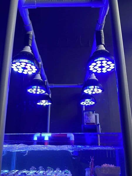Full specturm LED Aquarium Reef Light 54w Grow lamp fish tank bulb for Coral Fish Saltwater NanoTank Plant SPS LPS Z250205