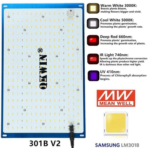 Spain dropshipping Quantum Board LM301B 240W Full Spectrum Grow Light LED Meanwell Driver for Plants Veg Blooming X250205