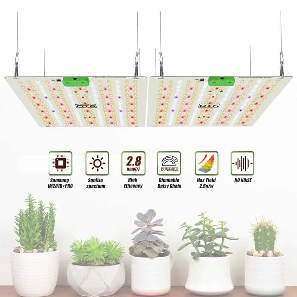 Full Spectrum LED Grow Light High PPFD Sunlike Quantum Grow Lamp LM281B For Indoor Plant Growth Lighting Veg and Blooming X250205