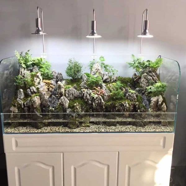 LED Light Bulb for Aquariums Water Grass Fish Tanks Lighting Plant Growth Lamps D0AD 20 W 40W 2SS202806 E27 Z250205