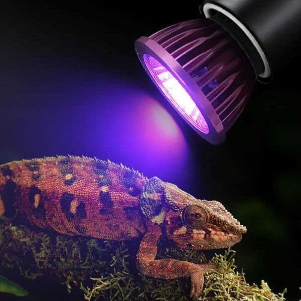 Reptile Turtle Lizard Snake Night Lamp Imitation Moonlight Night Sleep Lighting Reptile Amphibian Pets Accessories terrario Z250214