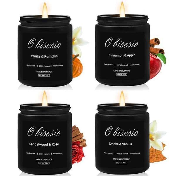 Obisesio Scented Candle for Men Aromatherapy Candle for Home Scented Soy Candle Set Cinnamon Apple Vanilla Pumpkin Men Candle X250218