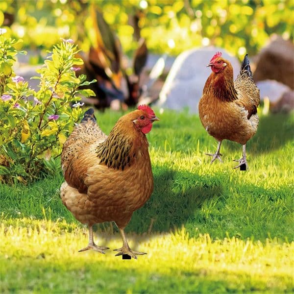 Garden Rooster Statue Chicken Sculpture For Yard Decor Weatherproof Hen Figurine For Patio Backyard Home Outdoor Decoration 250228
