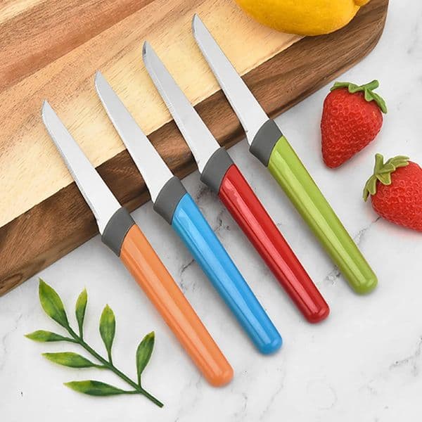 4piece kitchen and household fruit knife outdoor cutting vegetable peeling cooking multifunctional 250217q