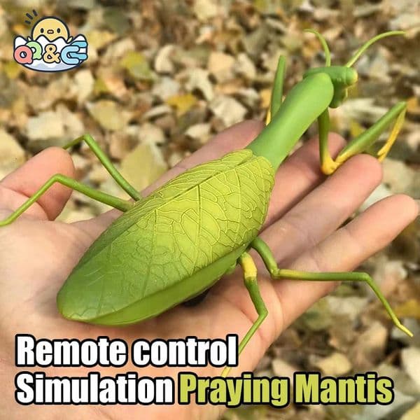 RC Animal Robot Antistress Insect Toys Infrared Simulation Spider Bee fly mantis Electric Toy for Children Prank Insects pet toy 250605