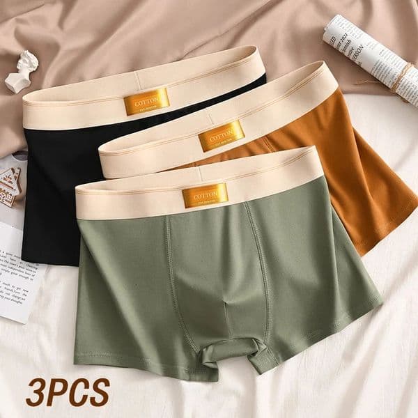 3pcs Men Underwear Cotton BoxerShorts Hombre Panties Man Breathable Underpants Sexy Sports Comfort Male Boxers Large Size L-6XL 250614BJ