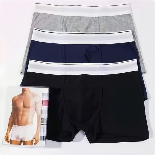 25ss Men's Designer Boxer Underwear Pure Cotton Boxers American Fashion Brand Embroidery Letters Sports Breathable Sexy Briefs Underpants 3PCS Gift Box Packaging