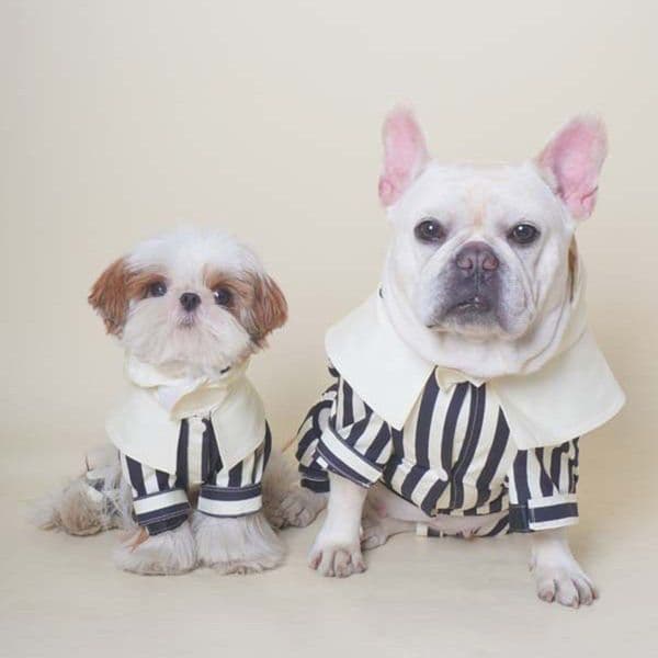 Dog Raincoats, Waterproof Dog Rain Jacket, Dogs Stripe Rain Coat with Hooded for Small Medium Dogs, Full Body Poncho, Rainwear, Beagle, Collie XXL A608
