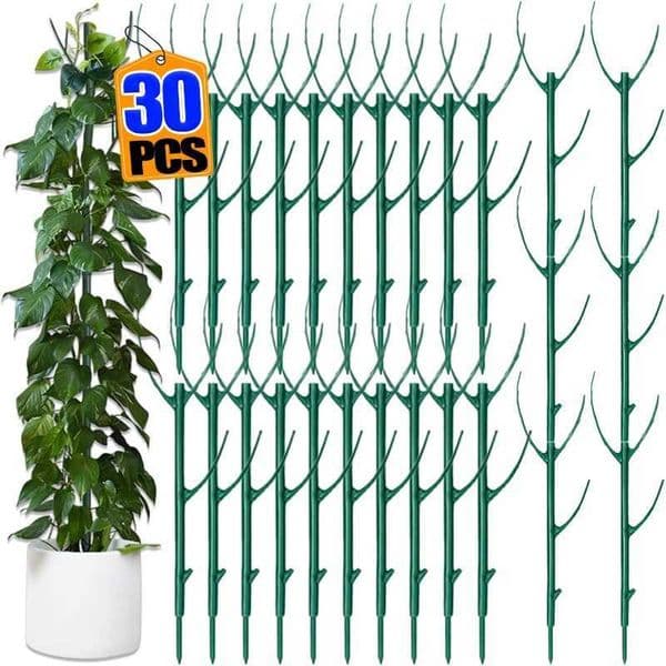 30/3Pcs Plant Support Stake Climbing Vine Stake Bonsai Fixing Rod Garden Plants Stake Holder Flower Support Rack For Potted Plant X250627