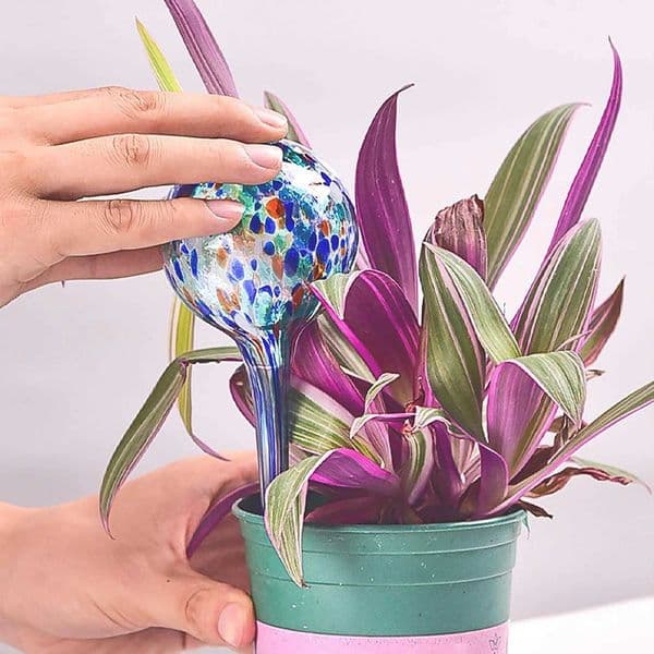 1pc-Ball Glass Automatic Watering Device Household Green Plant Potted Plant Drip Irrigation Device X250627