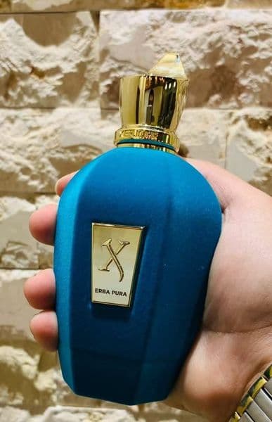 Hot Designer Top Xerjof Perfume 100Ml Erba Pura ERBA GOLD Fragrance Eau De Parfum Long Lasting Good Smell High Quality Cologne Spray Wholesale L251206