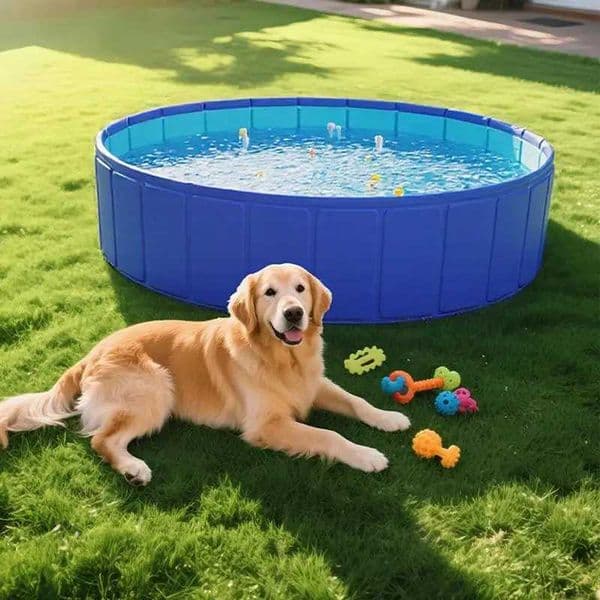 Foldable Kiddie Pool Pet Wading Pool PVC Anti-Slip Foldable Portable Yard Bathing Tub For Dogs Cats Puppies Animals Children X250628