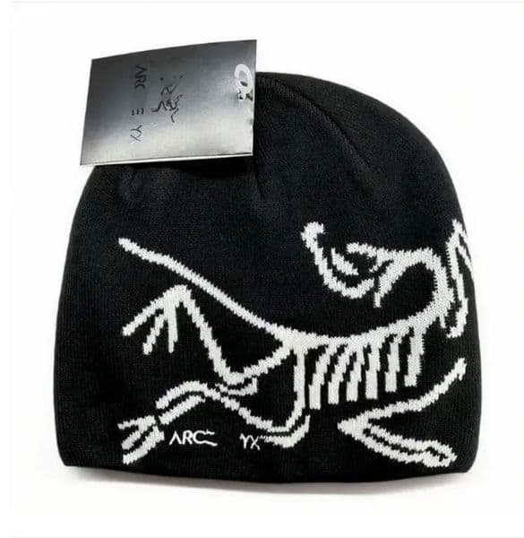 beanie Designer beanie luxury beanie Damier Snug Beanie hat versatile beanie knitted hat warm Caps autumn hats for men skull outdoor womens hat cappelli Stone Bird