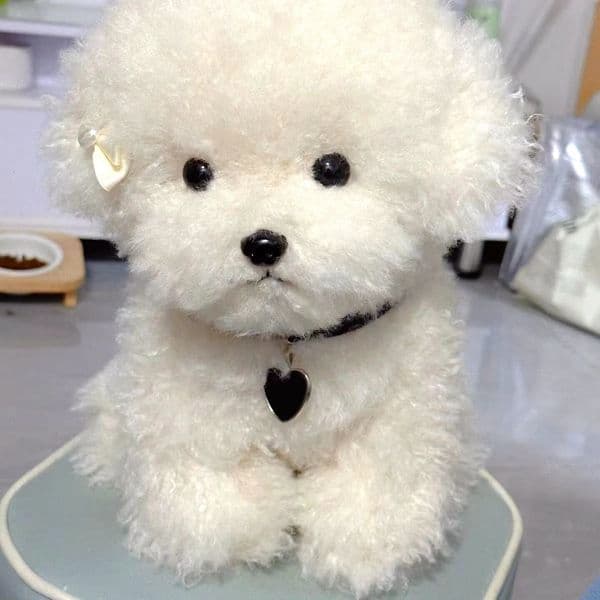 Cute Bichon Dog Plush Toys Simulation Curly Dog Kawaii Real Life Plush Stuffed Dolls Girl Kids Birthday Xmas Gift251010BJ