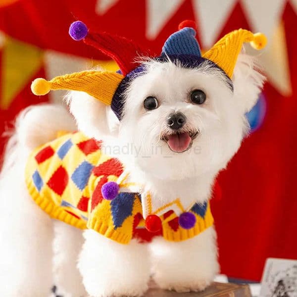 Cute Pet Dog Sweater Winter Dog Cat Warm Clothes Palid Puppy Coat Chihuahua Bichon Clothing Sweaters and Hat Set Dog Costume M251010