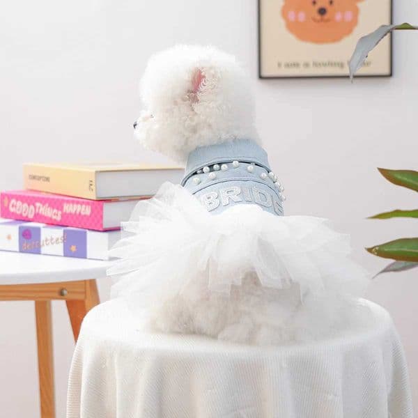 Bride Apparel For Dogs Autumn Denim Coat With Tutu Skirt Pet Dresses For Small Puppy Animal Cat Dachshund Suit Chihuahua Clothes C251011