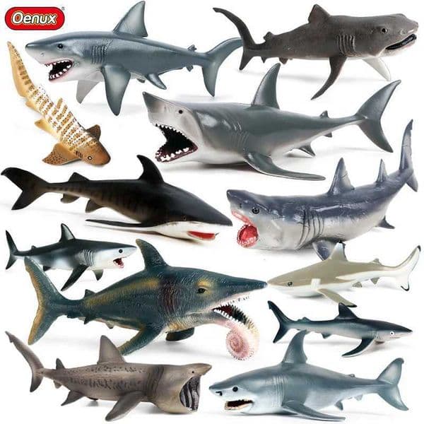 Oenux Ocean Animals Action Figures Sealife Shark Whare Megalodon Model Figurines PVC Home Decoration Kid Cognitive Education ToyJ251011