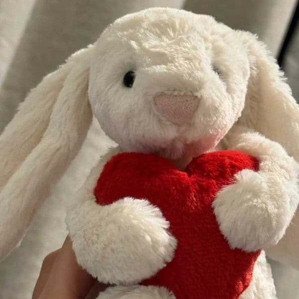 Toys Shy Red Heart Bonnie Rabbit Soft Plush Toy Cute Doll Girl Gift Confession Proposal Gift